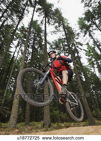 Stock Photography - Mountain biker in mid-air on forest trail. Fotosearch