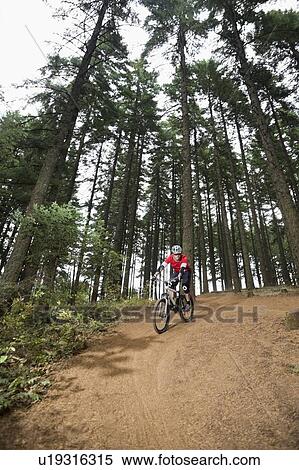 Stock Photography - Mountain biker riding in forest. Fotosearch