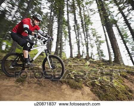Stock Photo - Mountain biker riding on forest trail. Fotosearch