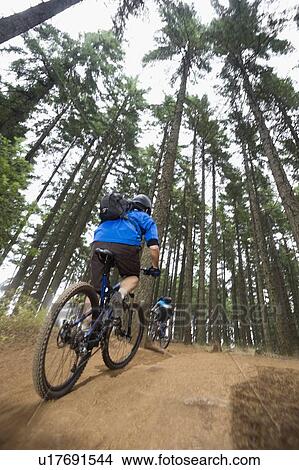 Mountain bikers riding in forest View Large Photo Image Picture - Mountain bikers riding in forest. Fotosearch