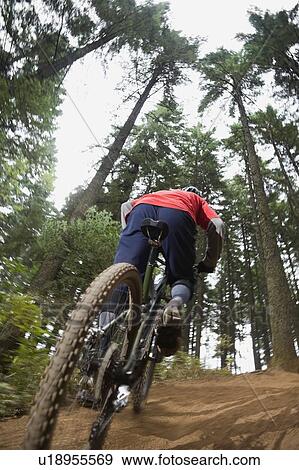Stock Photo - Mountain bikers riding in forest. Fotosearch