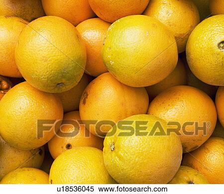 Stock Photography - oranges, produce. Fotosearch