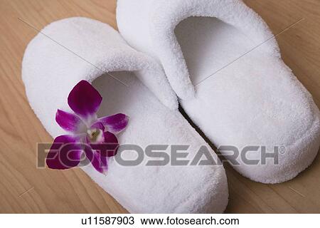 Pair of slippers with flower View Large Photo Image Stock Image - Pair of slippers with flower. Fotosearch