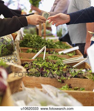 Stock Image - People buying lettuce at farmers market. Fotosearch