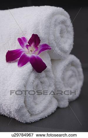 Pile of rolled towels View Large Photo Image Stock Photo - Pile of rolled towels. Fotosearch