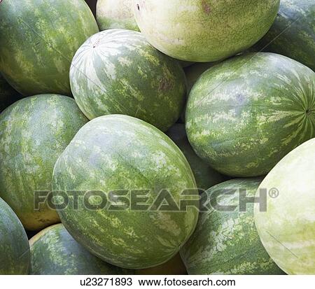 Stock Image - Pile of watermelon. Fotosearch