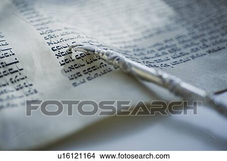 Picture - Pointer laying on Torah. Fotosearch