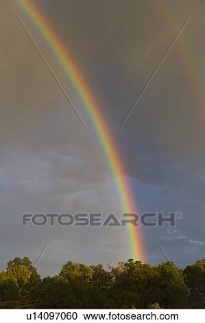 Stock Image - Rainbow and storm clouds, Grand Canyon, Arizona. Fotosearch