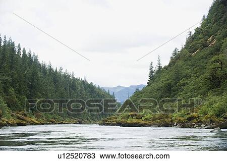 River running through forested canyon View Large Photo Image Stock Image - River running through forested canyon. Fotosearch