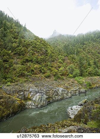 Stock Image - River running through forested canyon. Fotosearch