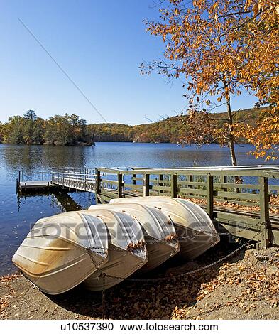 Row boats tied to dock View Large Photo Image Stock Image - Row boats tied to dock. Fotosearch