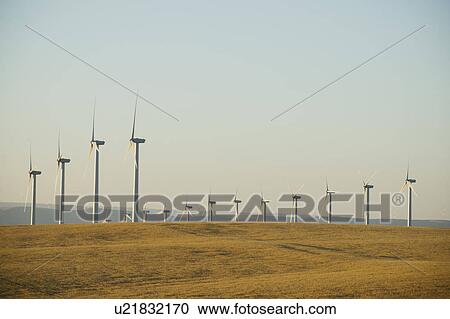 Rows of windmills on wind farm View Large Photo Image Stock Image - Rows of windmills on wind farm. Fotosearch
