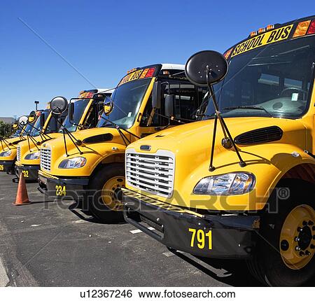 Stock Photograph - school buses in a row. Fotosearch