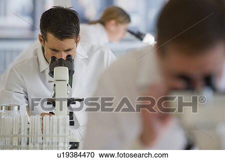 Scientists using microscopes in pharmaceutical laboratory View Large Photo Image Stock Image - Scientists using microscopes in pharmaceutical laboratory. Fotosearch