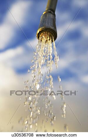 Stock Photo - shower head and streaming water. Fotosearch