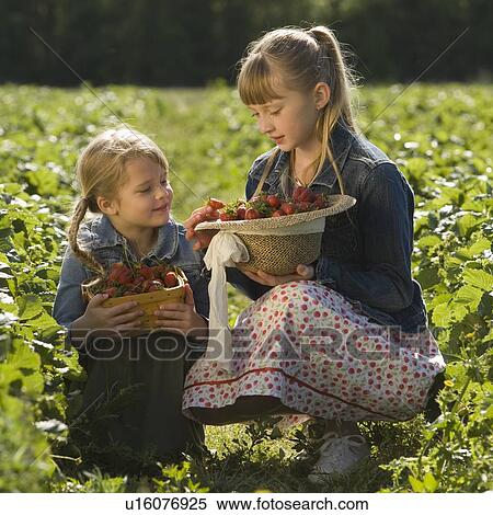 Stock Photography - Sisters picking strawberries. Fotosearch