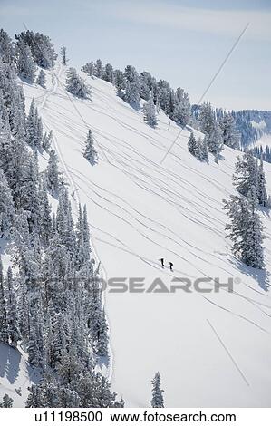 Stock Image - Skiers on mountain, Wasatch Mountains, Utah, United States. Fotosearch
