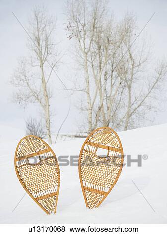 Snow shoes stuck in snow View Large Photo Image Stock Photo - Snow shoes stuck in snow. Fotosearch