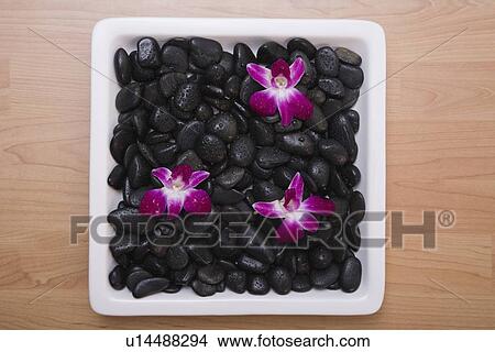 Spa treatment stones and flowers View Large Photo Image Picture - Spa treatment stones and flowers. Fotosearch