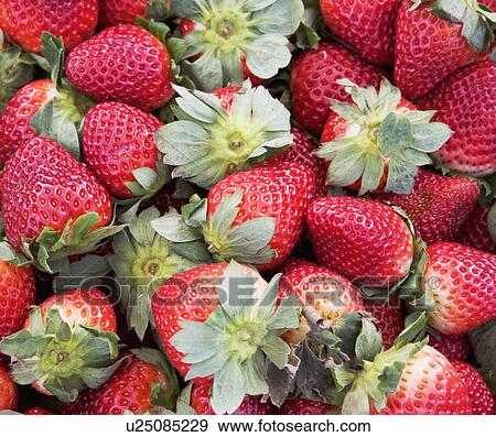 strawberries, produce View Large Photo Image Stock Photo - strawberries, produce. Fotosearch