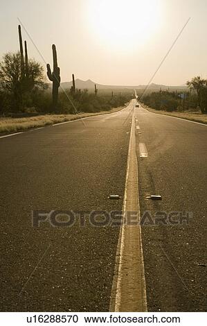 Sun shining over desert road, Flagstaff, Arizona View Large Photo Image Stock Image - Sun shining over desert road, Flagstaff, Arizona. Fotosearch