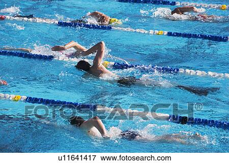 Stock Photo - swimming in a pool. Fotosearch