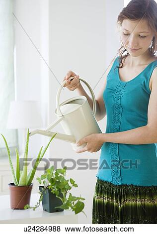 Teenage girl watering houseplant View Large Photo Image Stock Photo - Teenage girl watering houseplant. Fotosearch