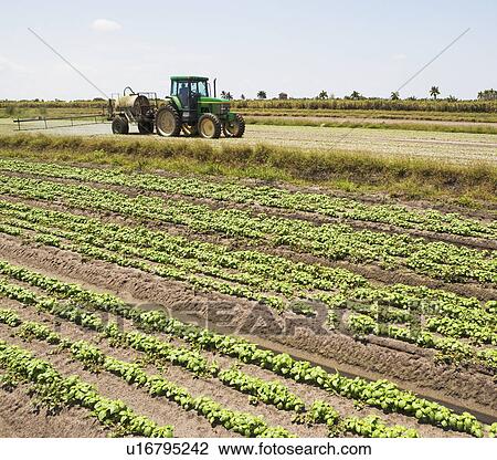Stock Image - Tractor spraying field, Florida, United States. Fotosearch