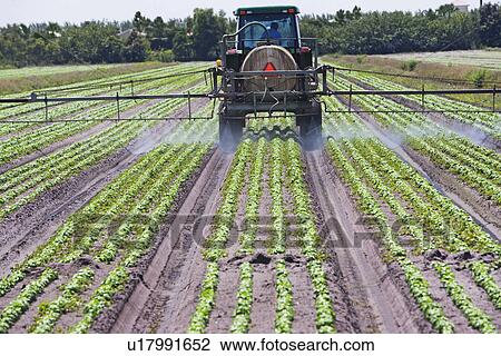 Stock Image - Tractor spraying field, Florida, United States. Fotosearch