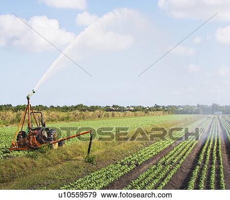 Tractor watering field, Florida, United States View Large Photo Image Stock Photo - Tractor watering field, Florida, United States. Fotosearch