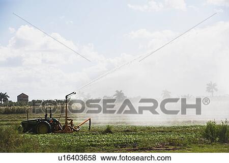 Tractor watering field, Florida, United States View Large Photo Image Stock Photo - Tractor watering field, Florida, United States. Fotosearch