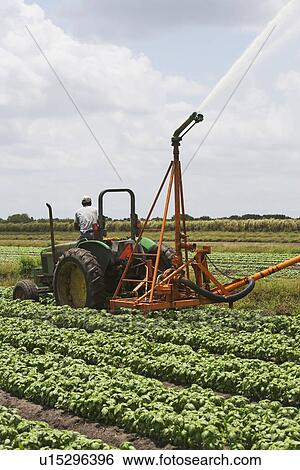 Tractor watering field, Florida, United States View Large Photo Image Stock Photograph - Tractor watering field, Florida, United States. Fotosearch