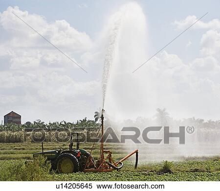 Stock Photography - Tractor watering field, Florida, United States. Fotosearch