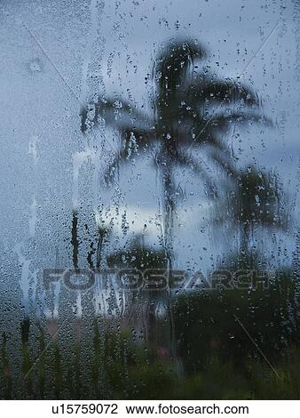 Tropical storm in Bermuda from window View Large Photo Image Stock Image - Tropical storm in Bermuda from window. Fotosearch