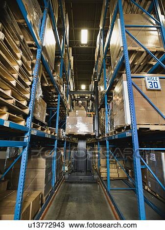 Warehouse worker driving forklift with palette View Large Photo Image Stock Image - Warehouse worker driving forklift with palette. Fotosearch
