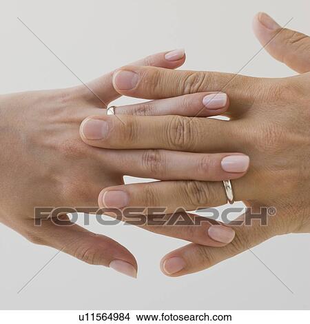 Picture - Wedding rings on couple’s hands. Fotosearch