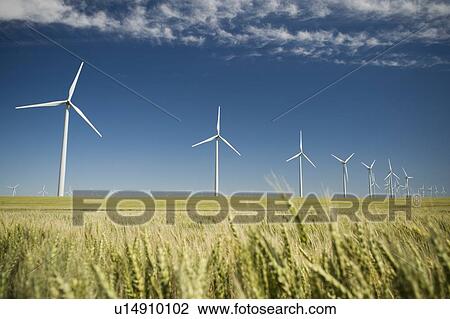 Windmills in a row on wind farm View Large Photo Image Stock Image - Windmills in a row on wind farm. Fotosearch