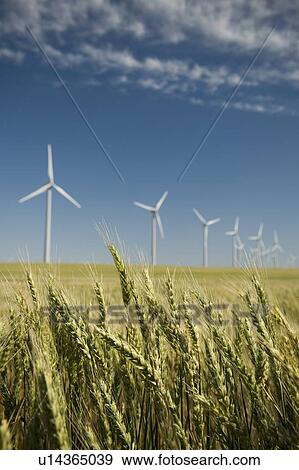 Stock Photo - Windmills in a row on wind farm. Fotosearch