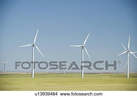Picture - Windmills on wind farm. Fotosearch