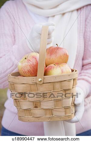 Stock Photo - Woman holding basket of apples. Fotosearch