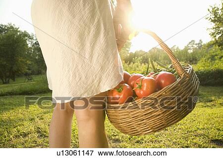 Stock Photo - Woman holding basket of fresh tomatoes. Fotosearch
