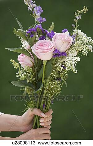 Woman holding bouquet of flowers View Large Photo Image Stock Image - Woman holding bouquet of flowers. Fotosearch