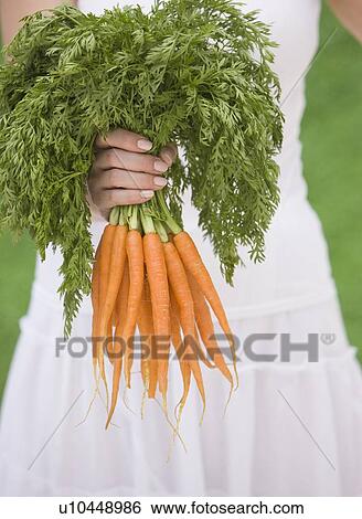 Stock Photograph - Woman holding fresh carrots. Fotosearch