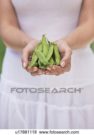 Stock Photo - Woman holding fresh peas. Fotosearch