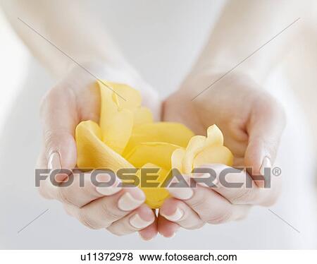 Stock Photo - Woman holding handful of flower petals. Fotosearch