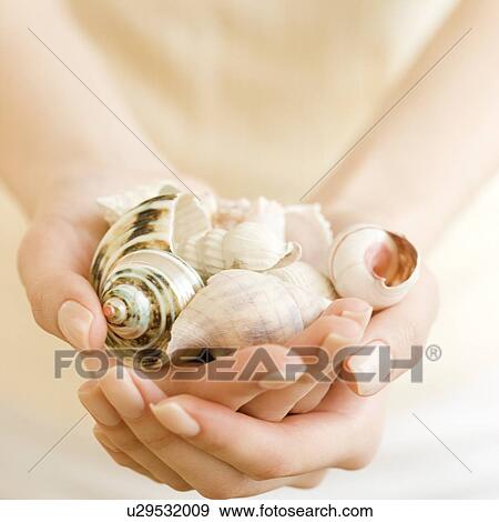 Woman holding handful of seashells View Large Photo Image Stock Photo - Woman holding handful of seashells. Fotosearch