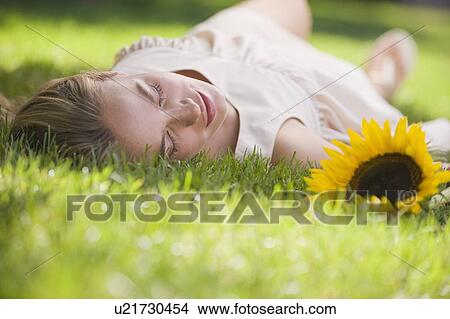 Woman laying in grass with sunflower View Large Photo Image Picture - Woman laying in grass with sunflower. Fotosearch