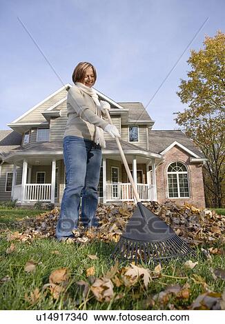 Woman raking leaves View Large Photo Image Stock Image - Woman raking leaves. Fotosearch