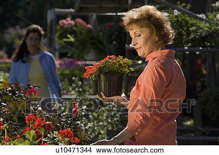 Picture - Woman shopping for flowers. Fotosearch