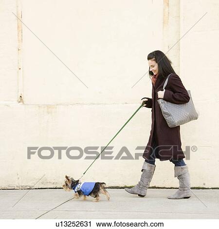 Woman walking dog on sidewalk View Large Photo Image Stock Image - Woman walking dog on sidewalk. Fotosearch